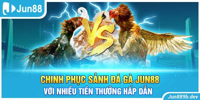 Chinh Phục Sảnh Đá Gà Jun88 Với Nhiều Tiền Thưởng Hấp Dẫn 