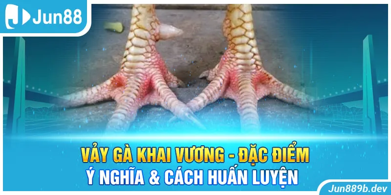 Vảy Gà Khai Vương - Đặc Điểm, Ý Nghĩa & Cách Huấn Luyện 