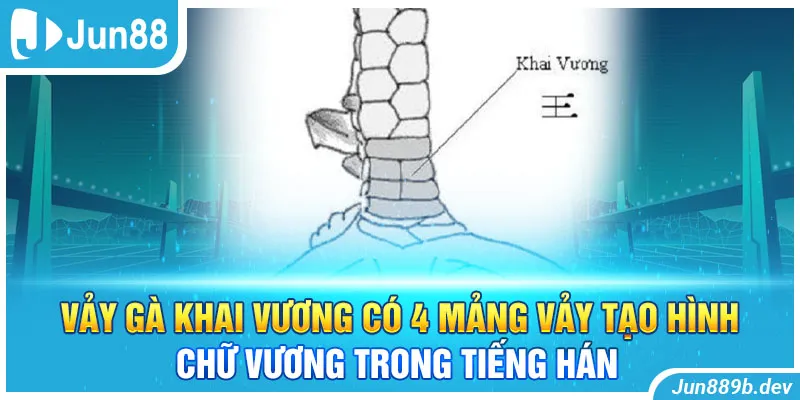 Vảy gà khai vương có 4 mảng vảy tạo hình chữ Vương trong tiếng Hán