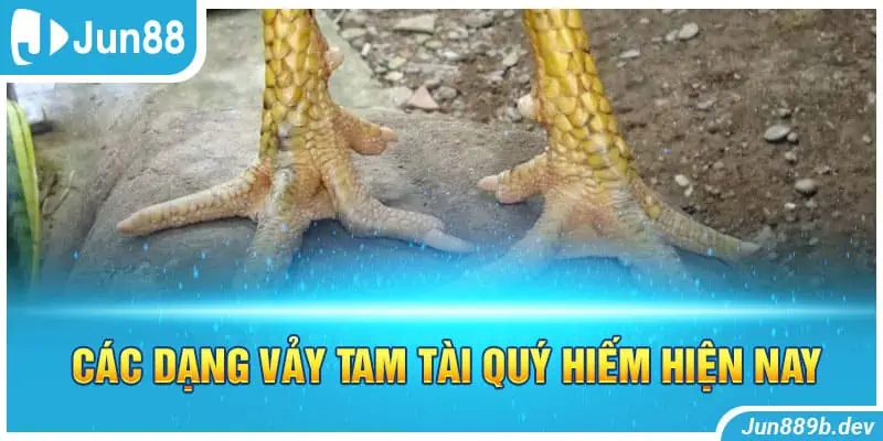 Các dạng vảy tam tài quý hiếm hiện nay