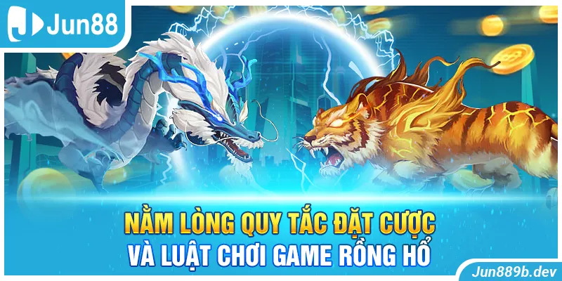 Nằm lòng quy tắc đặt cược và luật chơi game rồng hổ