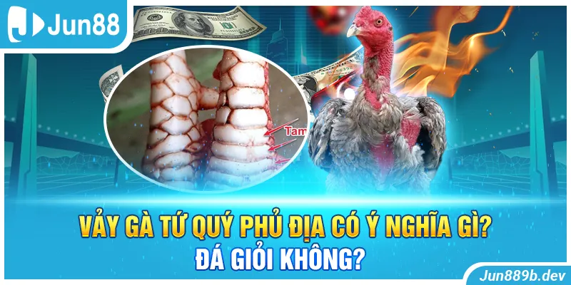 Vảy Gà Tứ Quý Phủ Địa Có Ý Nghĩa Gì? Đá Giỏi Không?