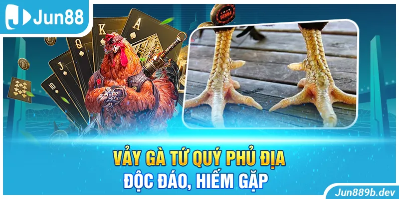 Vảy gà tứ quý phủ địa độc đáo, hiếm gặp