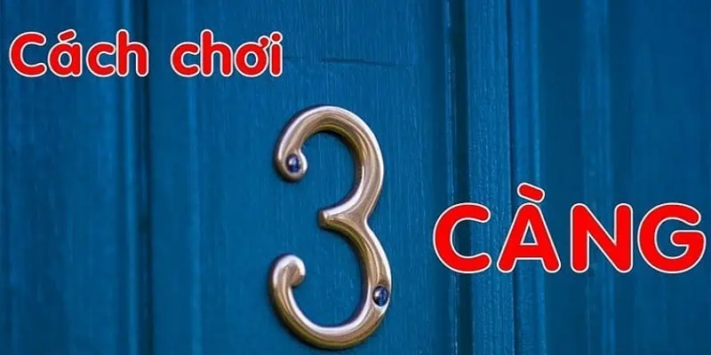 Chọn 3 càng theo chạm có độ chính xác cao